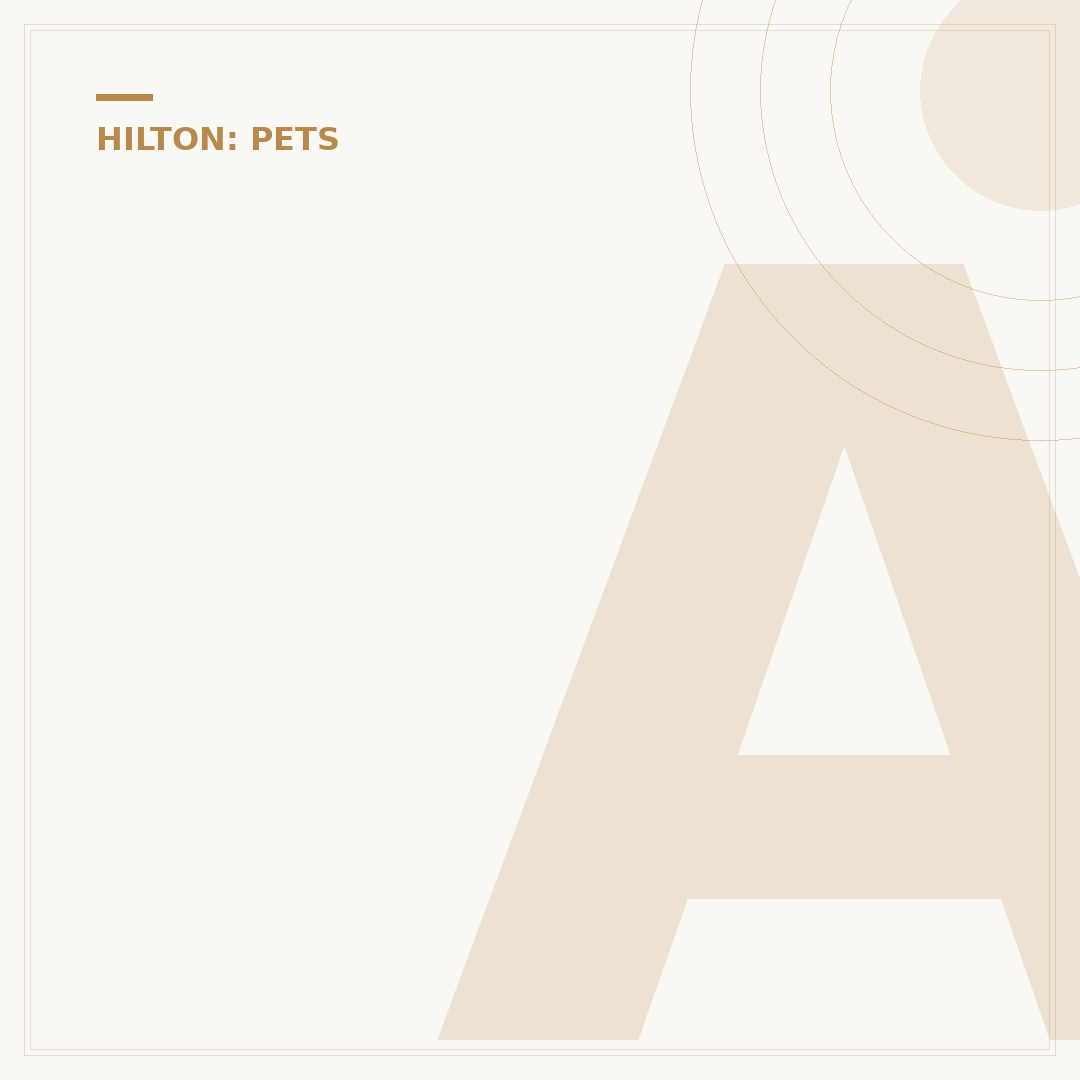 Are Pets Allowed at Hampton Inn? Pet Policy Details
