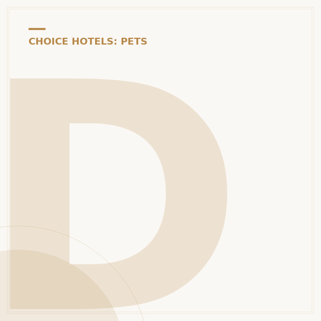 Does Comfort Inn & Suites Allow Pets? Policy Explained