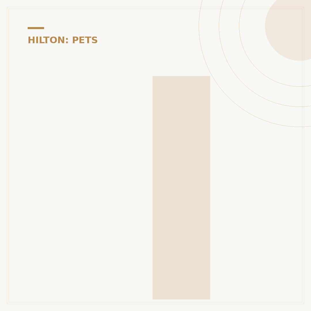 Is Conrad Hotel Pet Friendly? Planning Your Stay With Pets