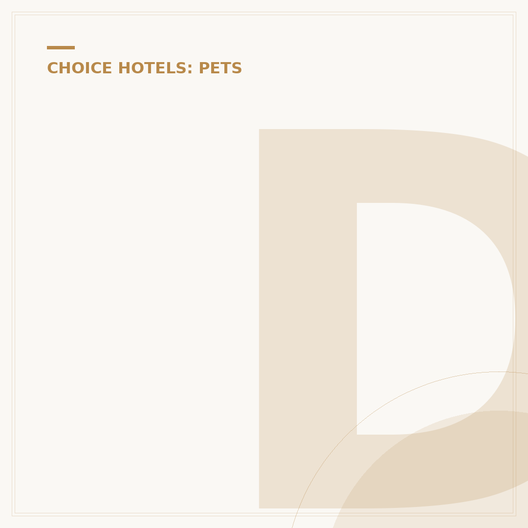 Does Quality Inn Take Pets? Understanding Hotel Policies
