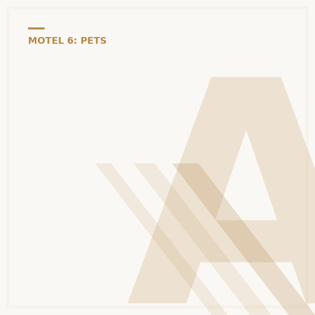 Are Dogs Allowed at Motel 6? Pet Policy Explained