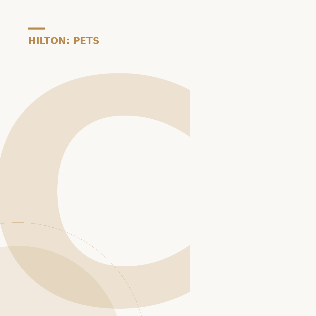 Can You Take Dogs to Hilton Hotels? Pet Policies Explained