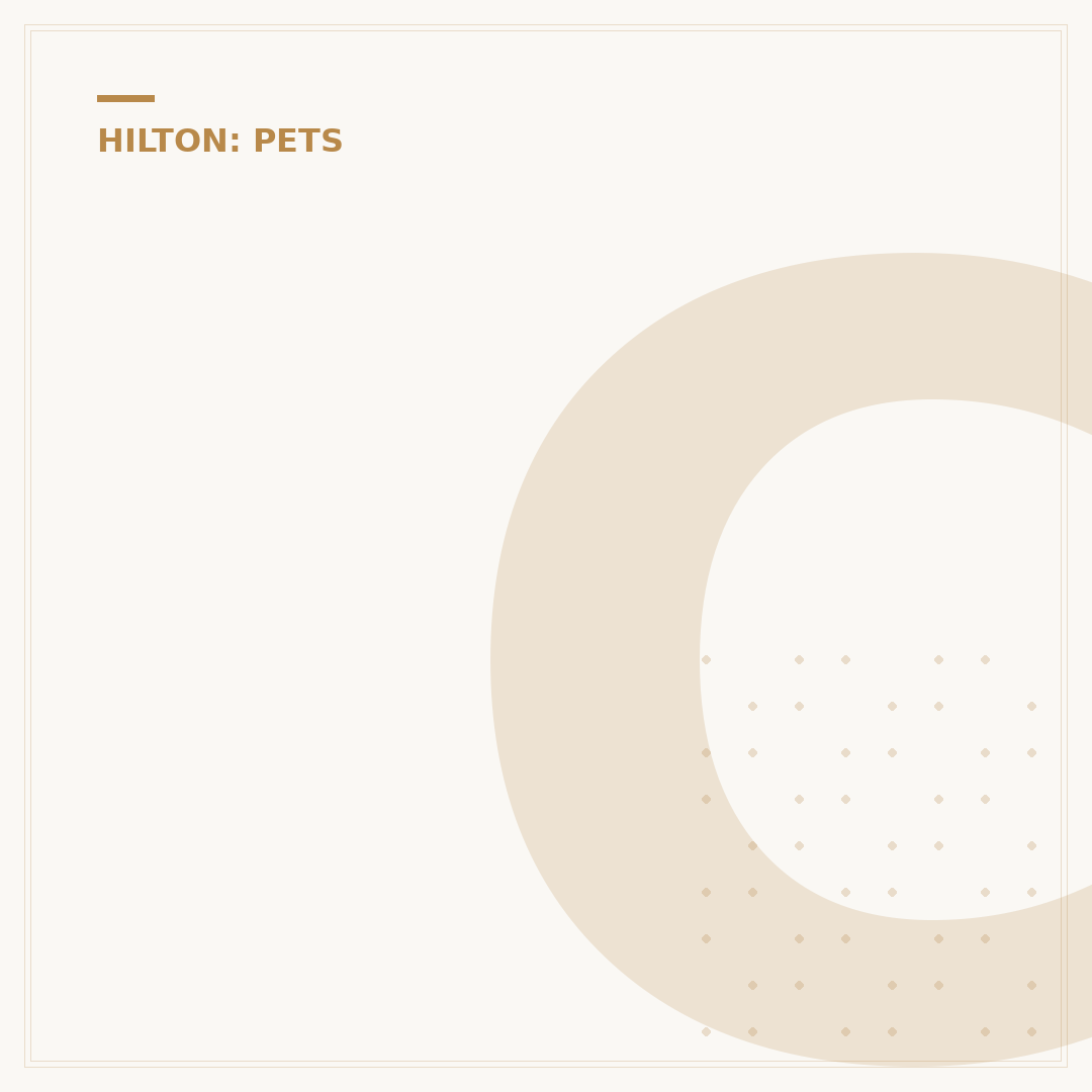 Can Dogs Stay at Hilton Hotels? Pet Policy Explained