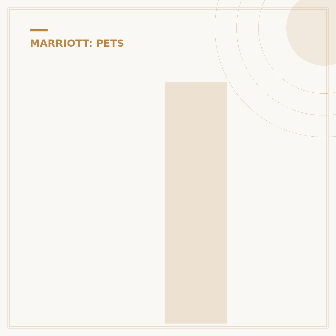 Is Fairfield Inn Pet Friendly?