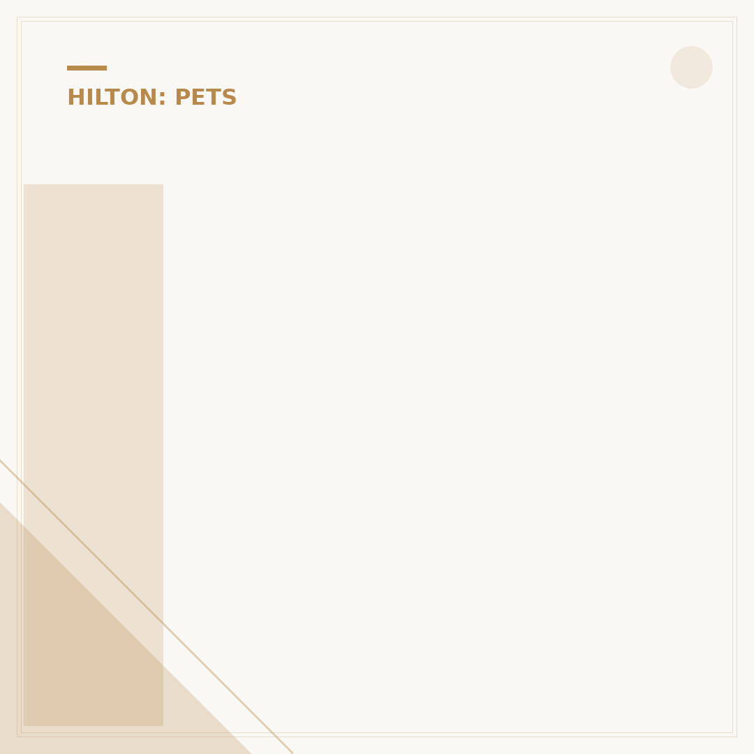 Is Hampton Inn Dog Friendly? Navigating Pet Policies