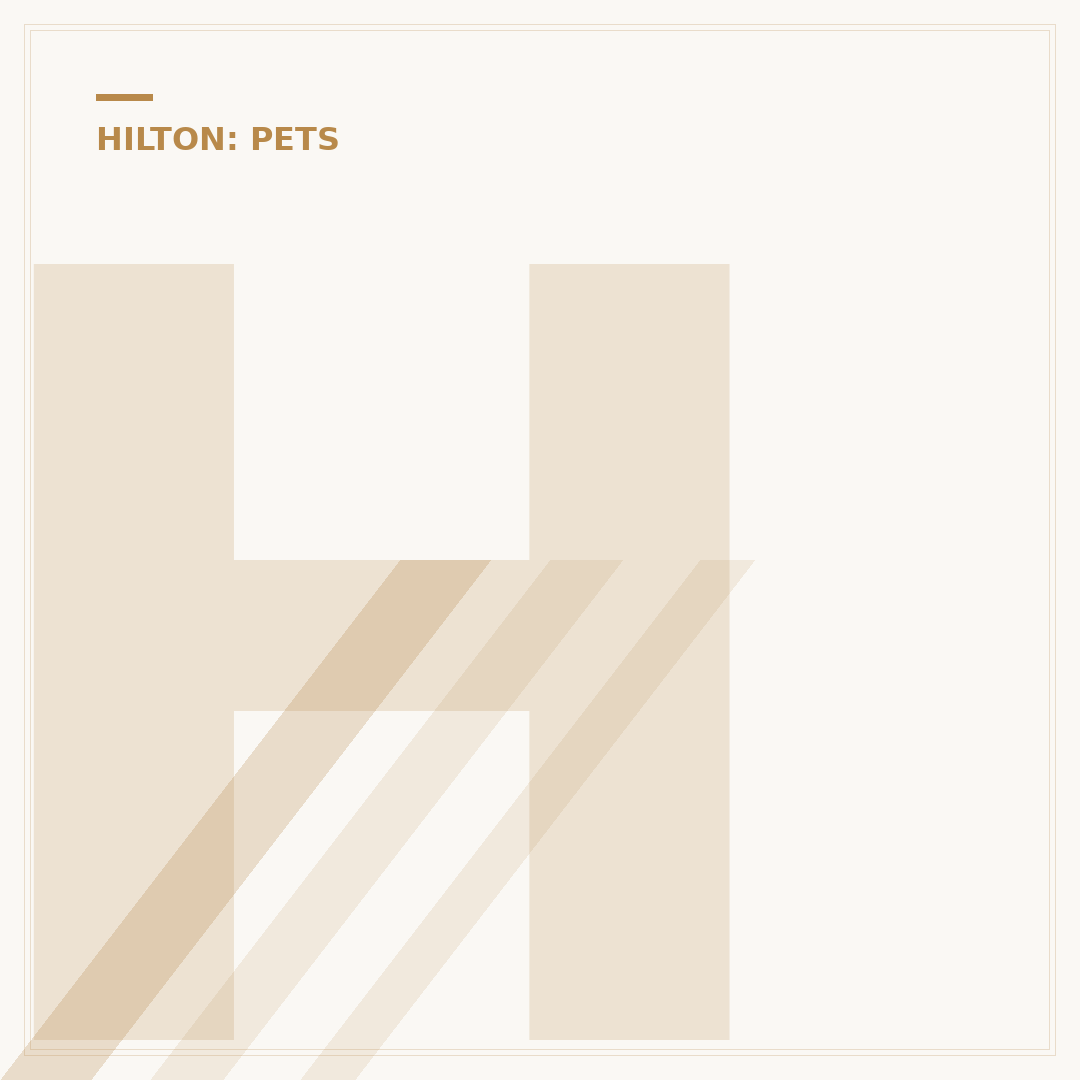 Hampton Inn Dog Policy: Does Hampton Inn Accept Dogs?