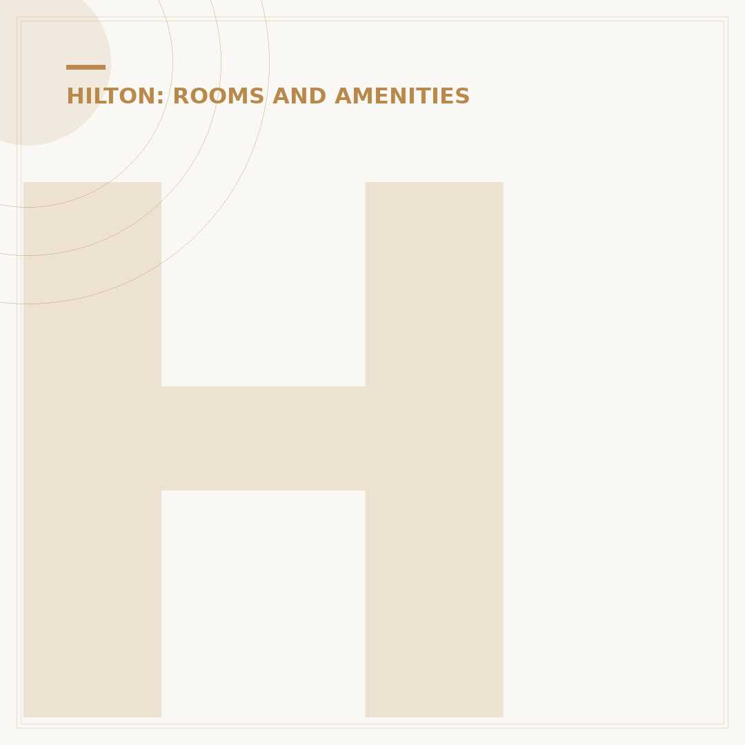 Hampton Inn Laundry Service: What Travelers Need to Know