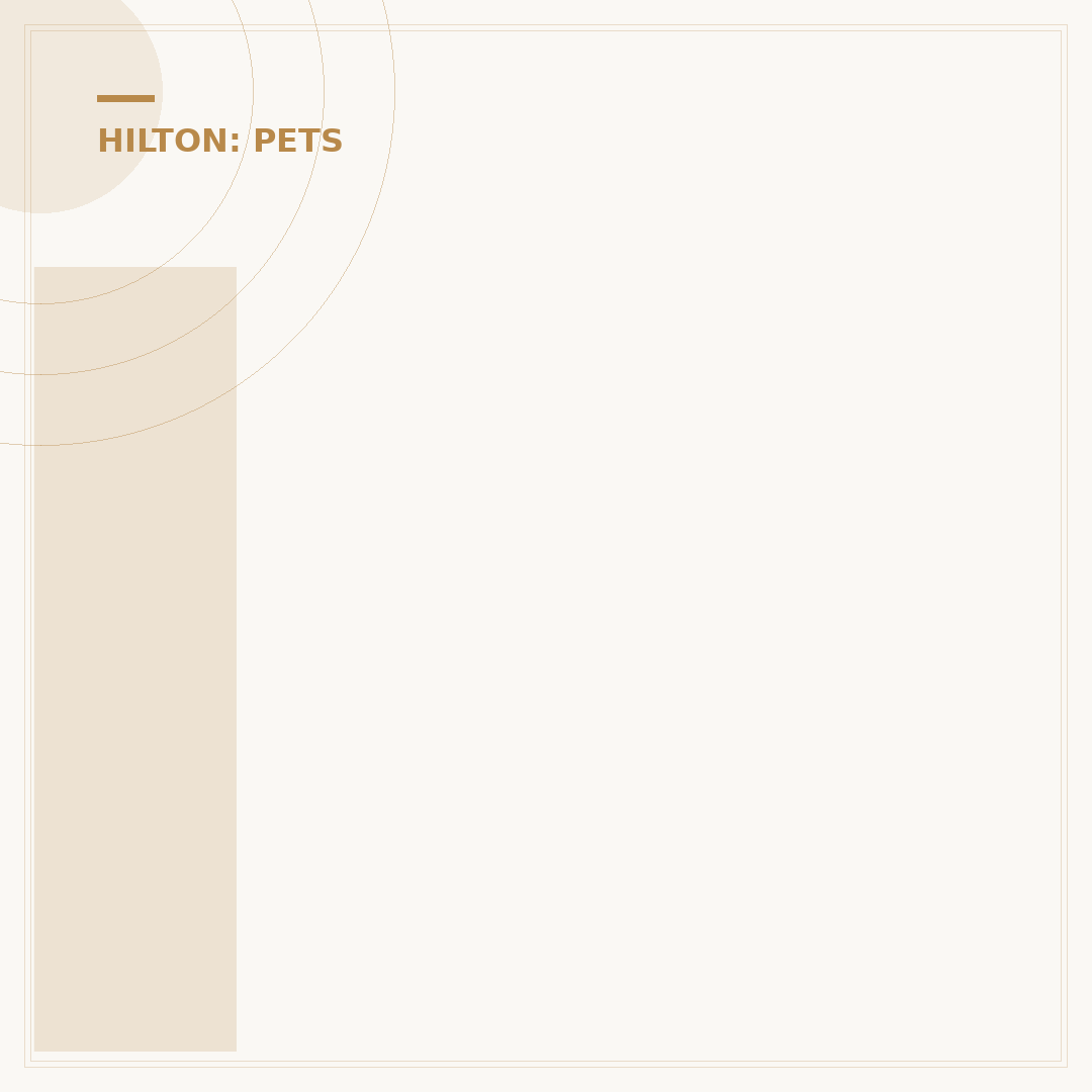 Is Hampton Inn Pet Friendly?