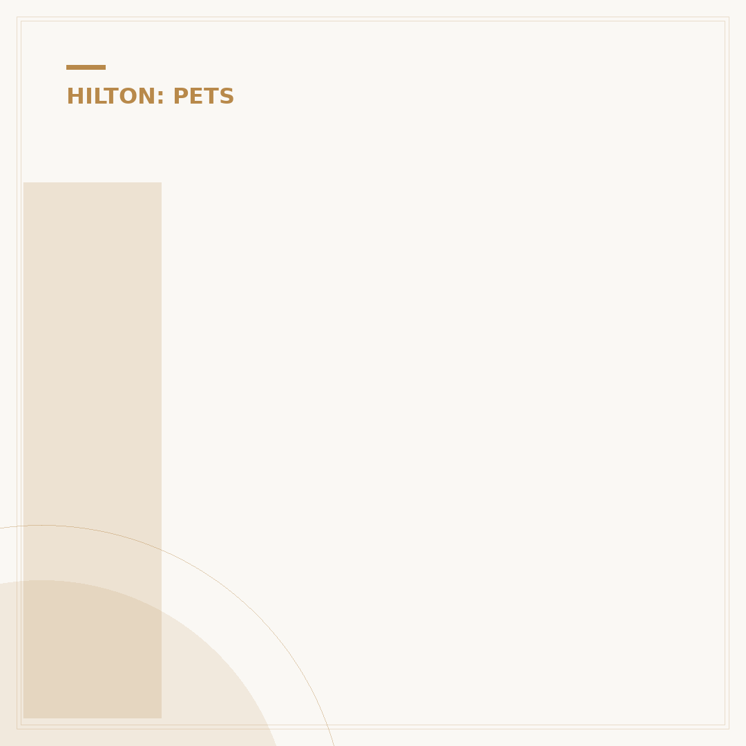 Is Hampton Inn & Suites Pet Friendly? Confirming Your Stay