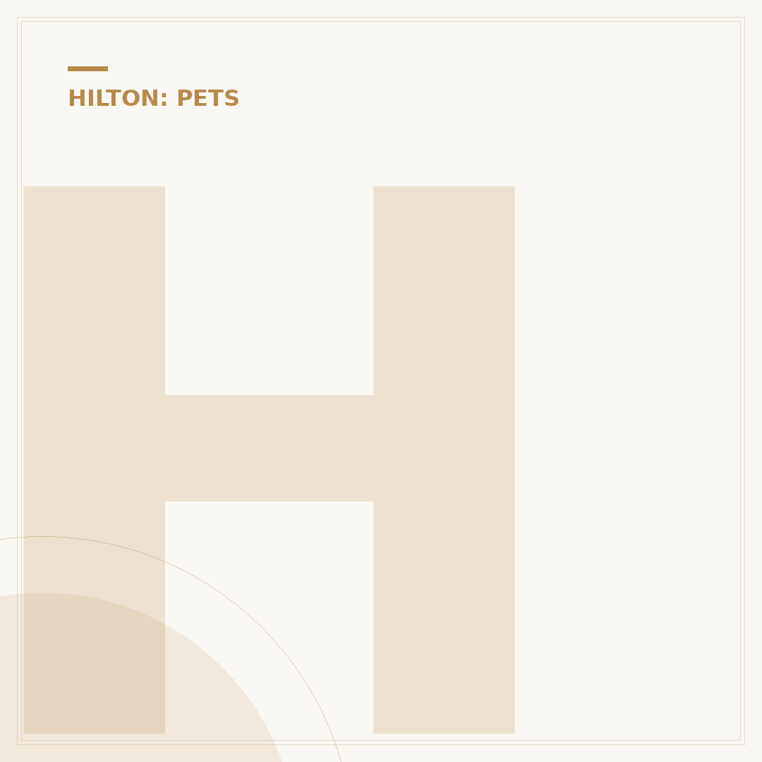 Hilton Hotels That Are Pet Friendly: Find Your Stay