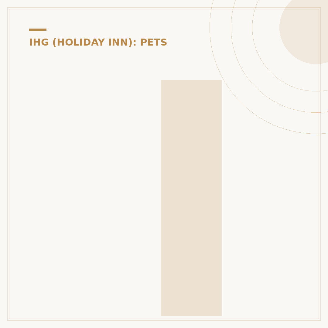 Is Holiday Inn Dog Friendly? What to Know Before You Book