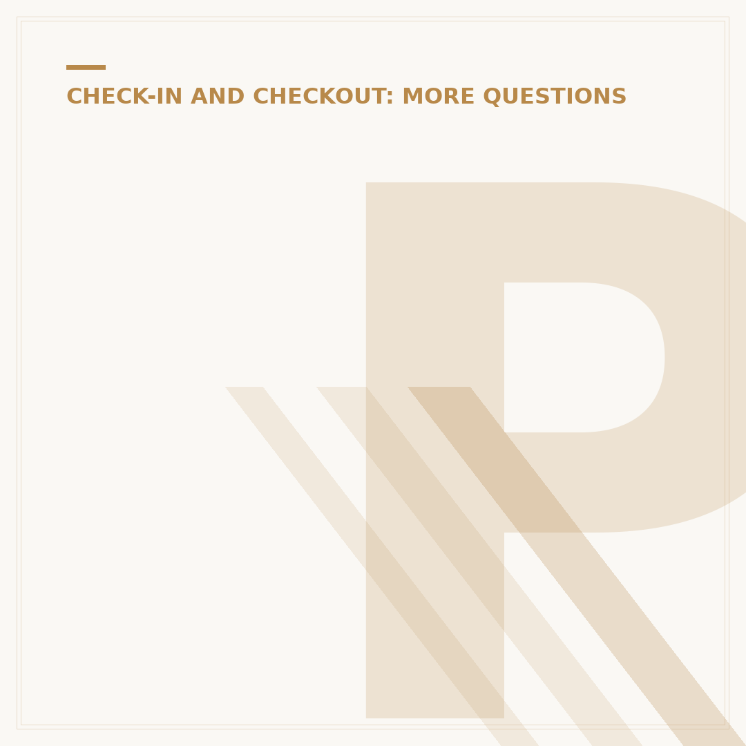 Person Who Takes Your Bags at a Hotel
