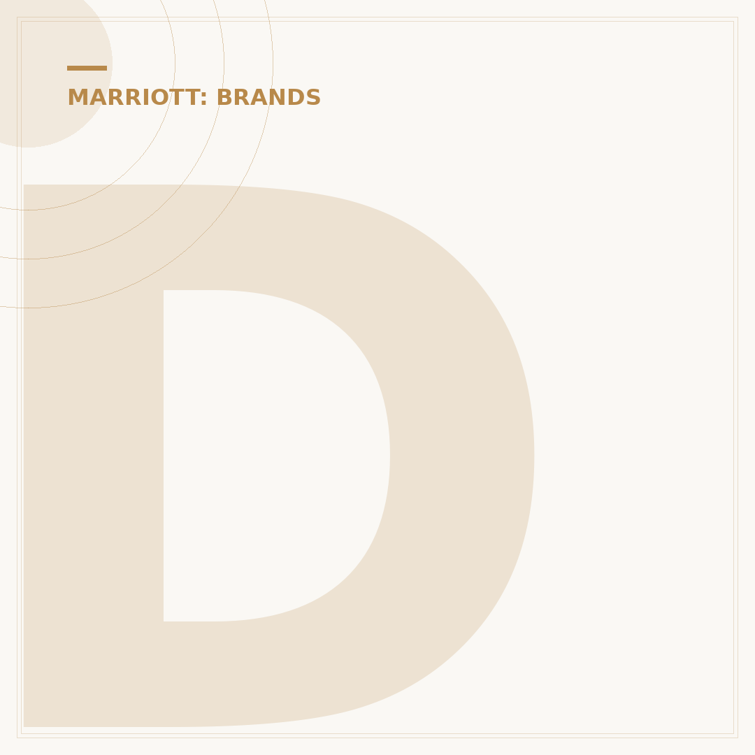 Does Marriott Own W Hotels? The Brand's Evolution