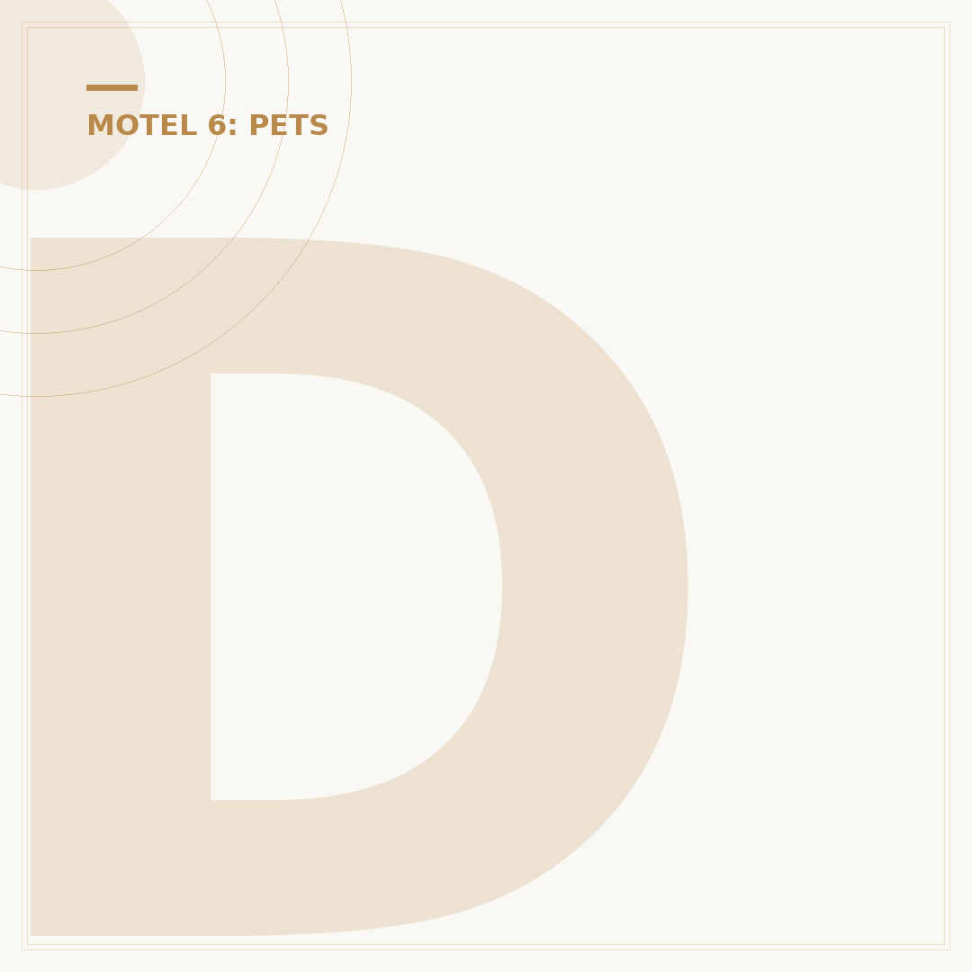 Does Motel 6 Have a Pet Fee? What to Know
