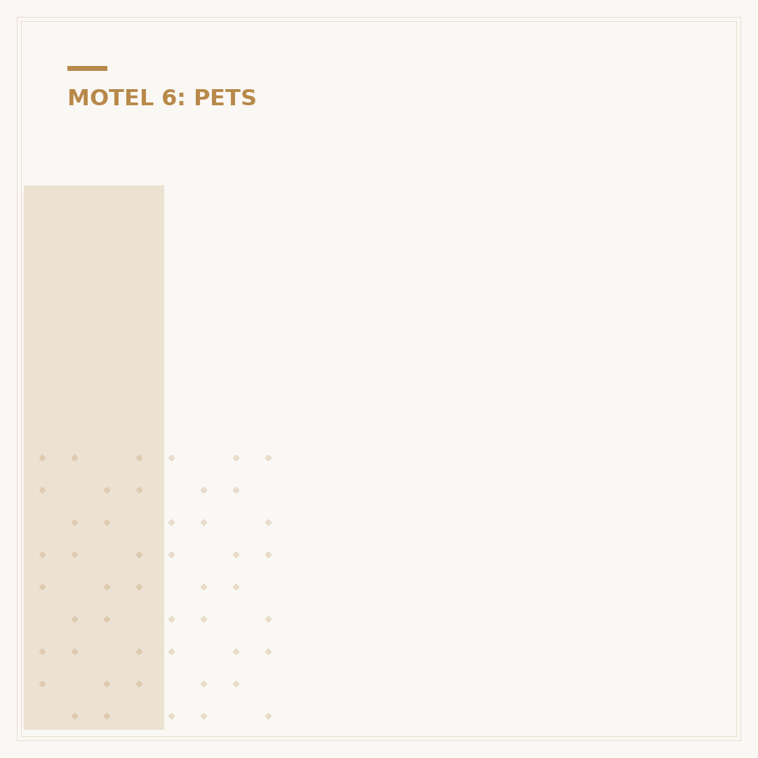 Is Motel 6 Pet Friendly? What to Know Before You Book