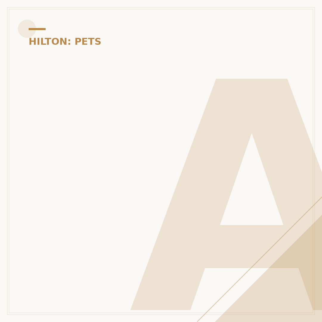 Are Pets Allowed at Hilton Hotels? Understand Policies