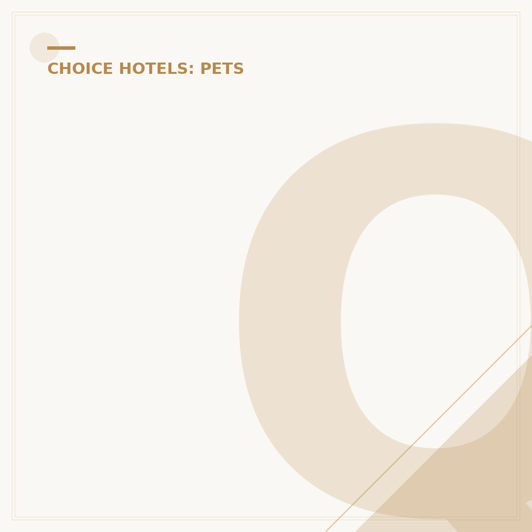 Quality Inn Pet Policy: Does Quality Inn Allow Cats?