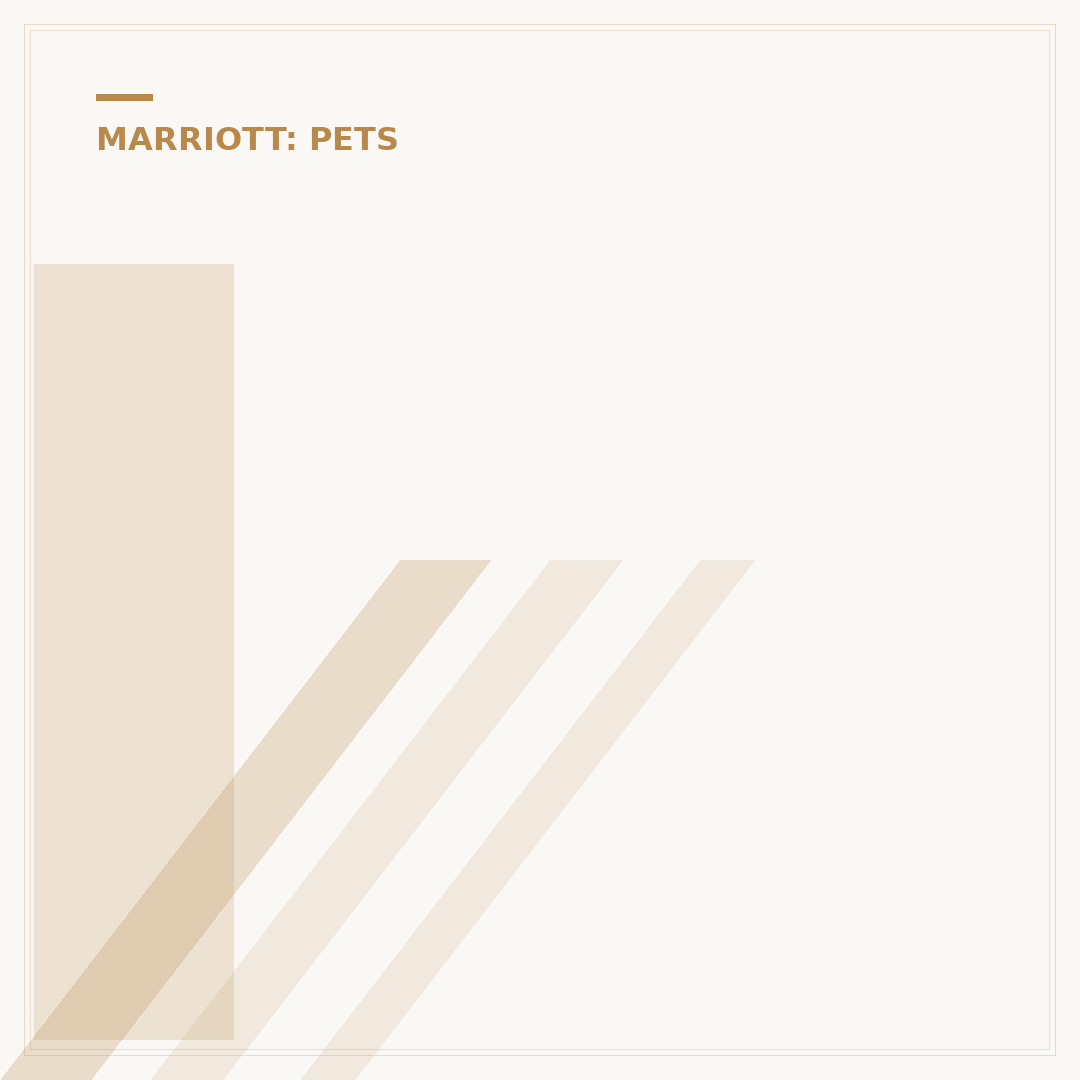 Is W Hotel Pet Friendly? What to Know Before You Book