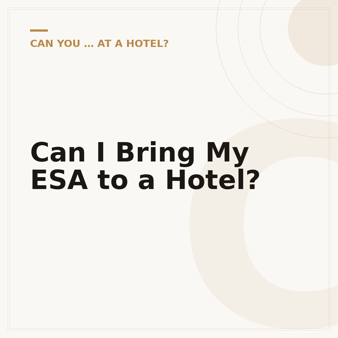 Can I Bring My ESA to a Hotel?