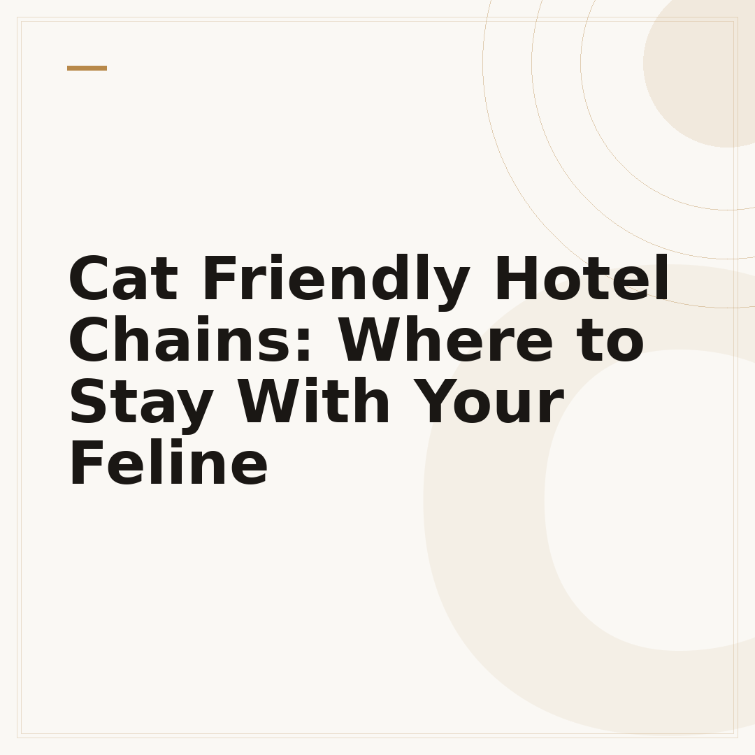 Cat Friendly Hotel Chains: Where to Stay With Your Feline