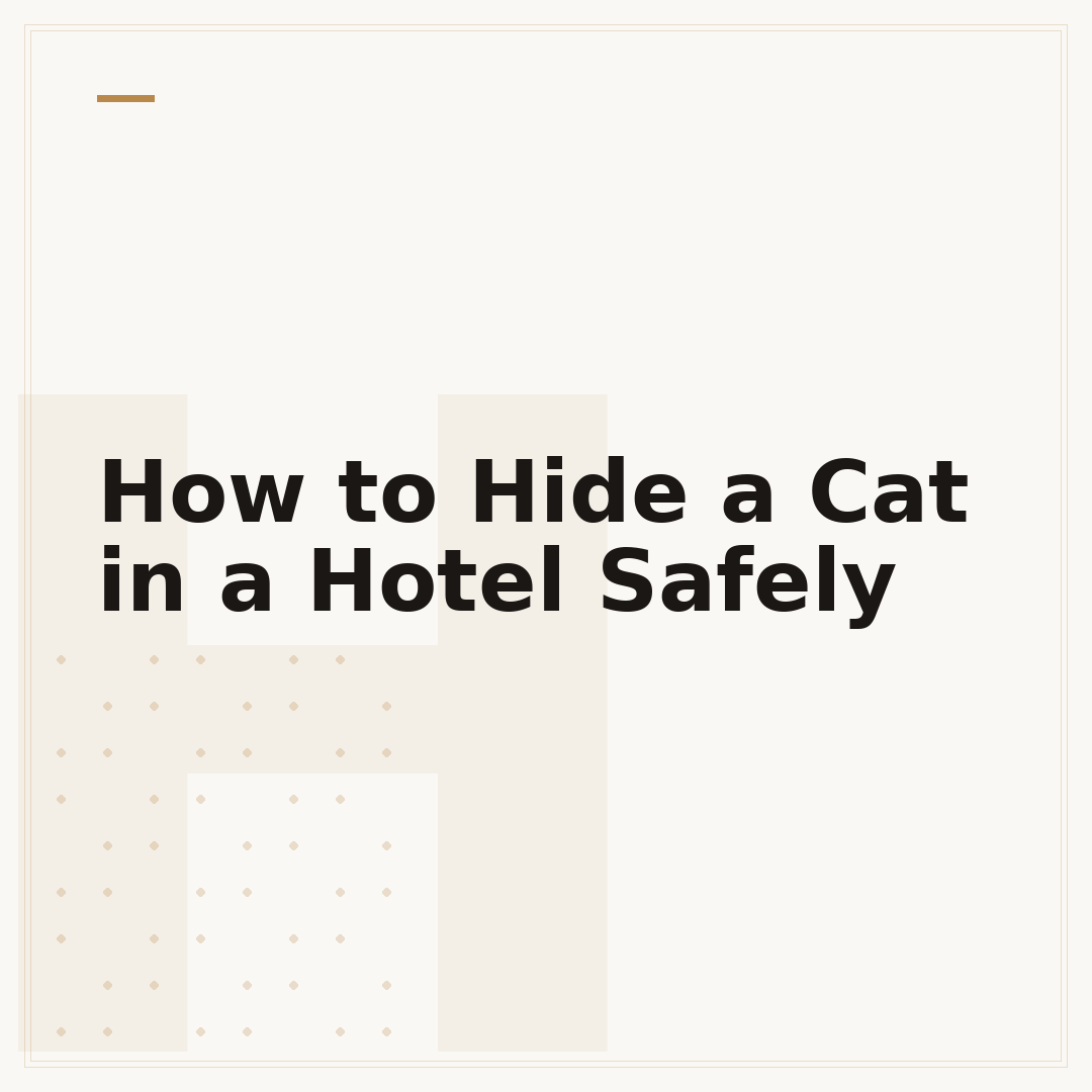How to Hide a Cat in a Hotel Safely