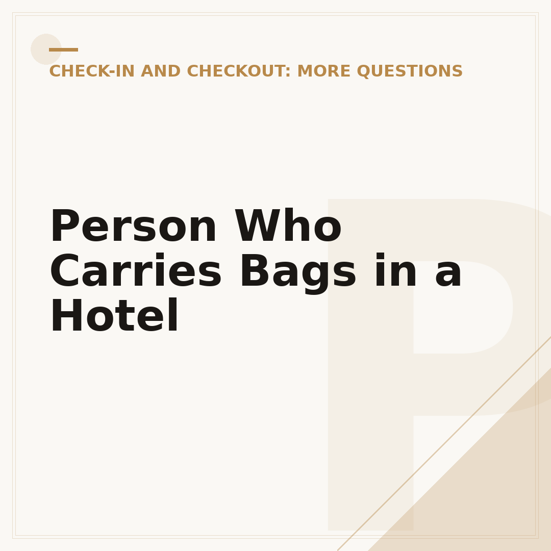 Person Who Carries Bags in a Hotel