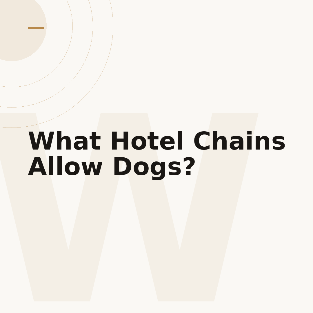 What Hotel Chains Allow Dogs?
