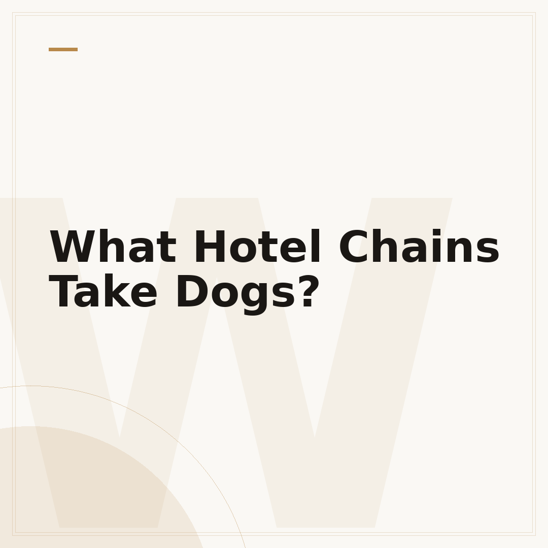 What Hotel Chains Take Dogs?