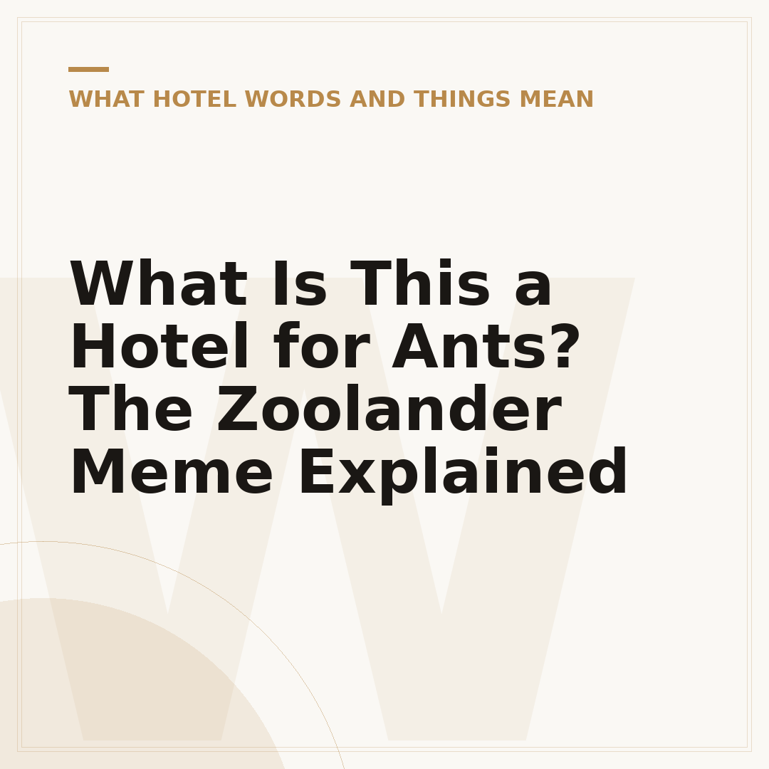 What Is This a Hotel for Ants? The Zoolander Meme Explained