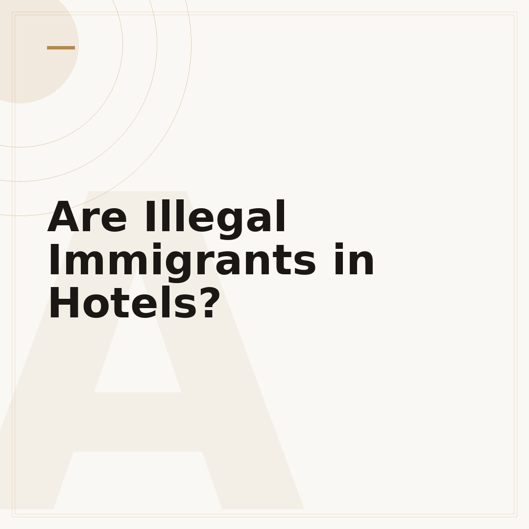 Are Illegal Immigrants in Hotels?