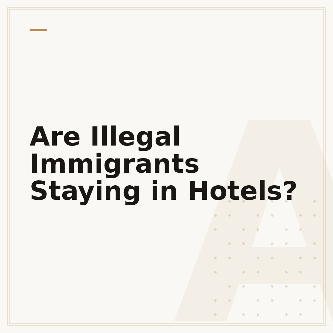 Are Illegal Immigrants Staying in Hotels?
