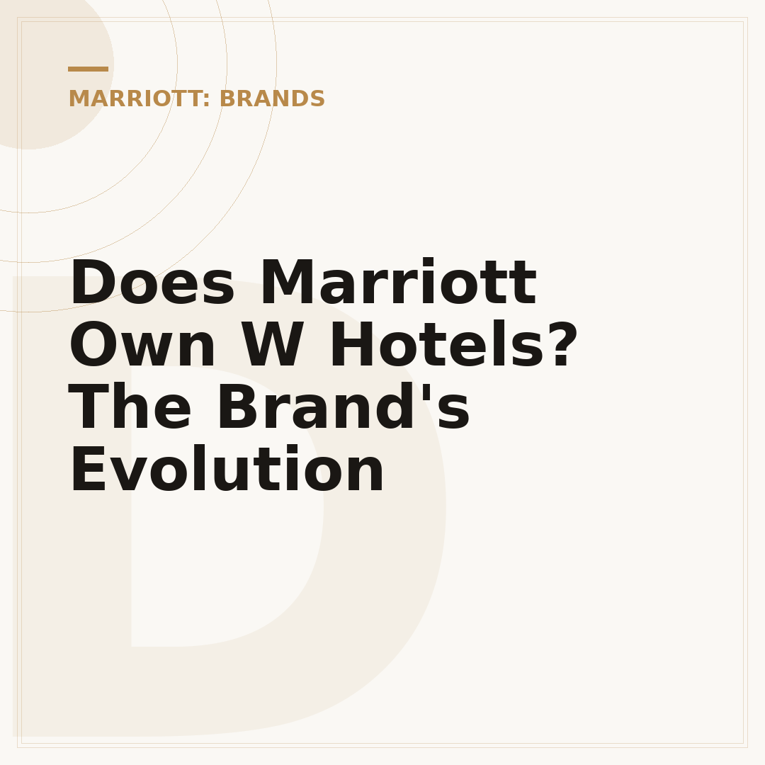 Does Marriott Own W Hotels? The Brand's Evolution