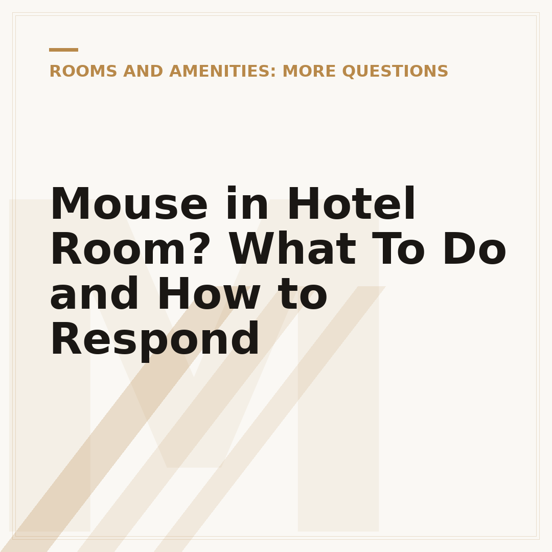 Mouse in Hotel Room? What To Do and How to Respond