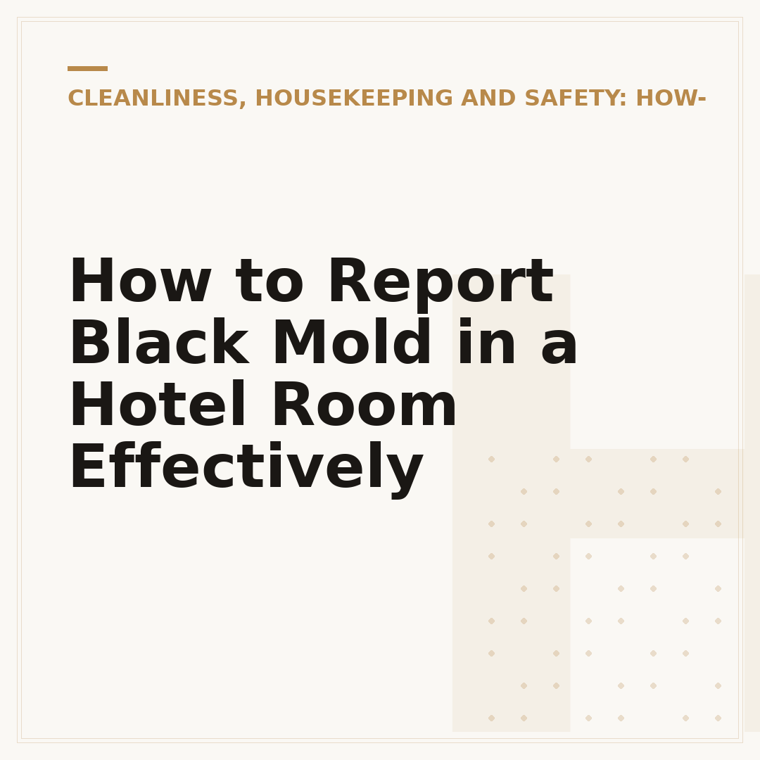 How to Report Black Mold in a Hotel Room Effectively