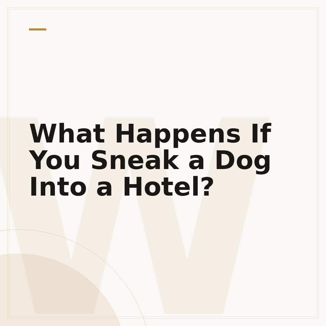 What Happens If You Sneak a Dog Into a Hotel?