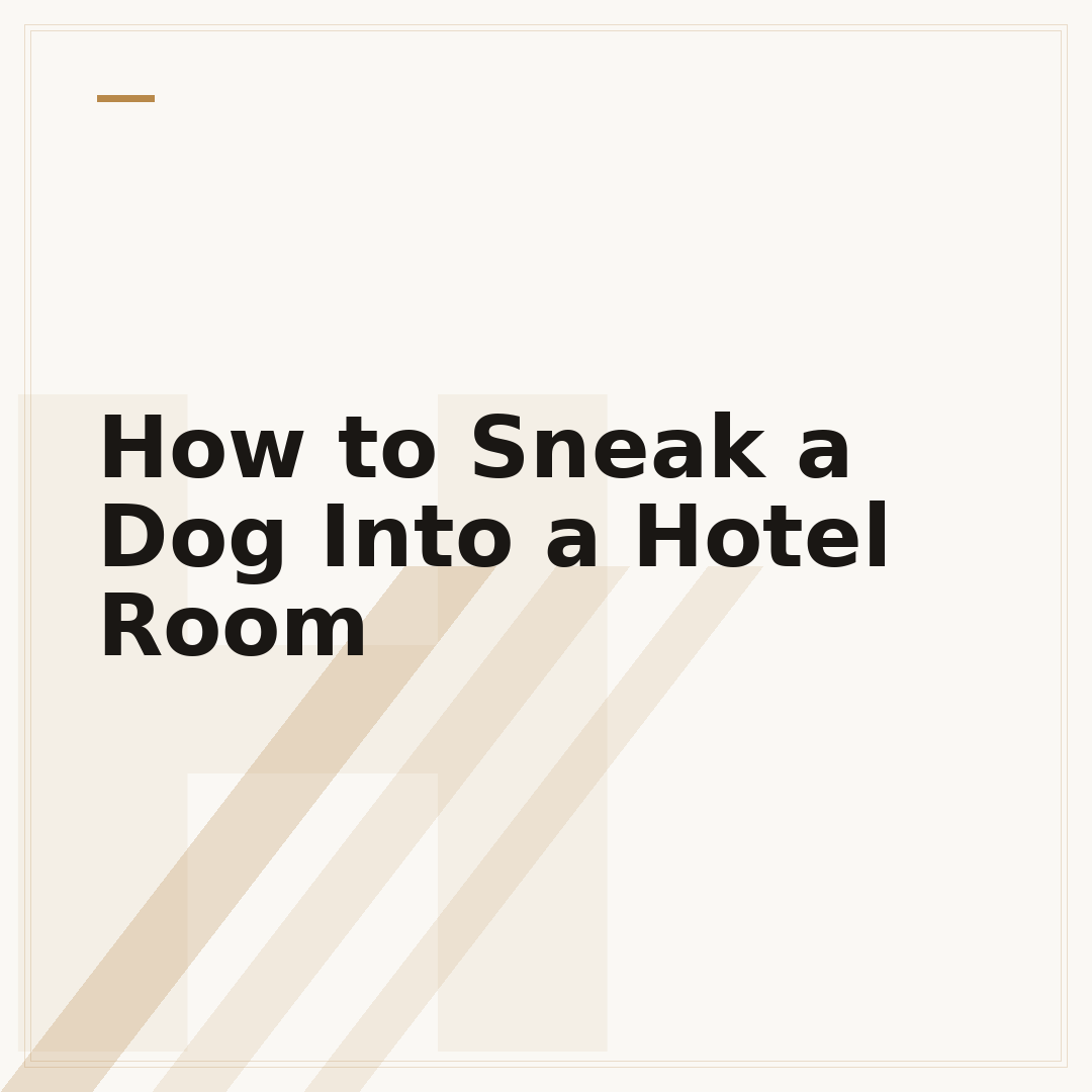 How to Sneak a Dog Into a Hotel Room