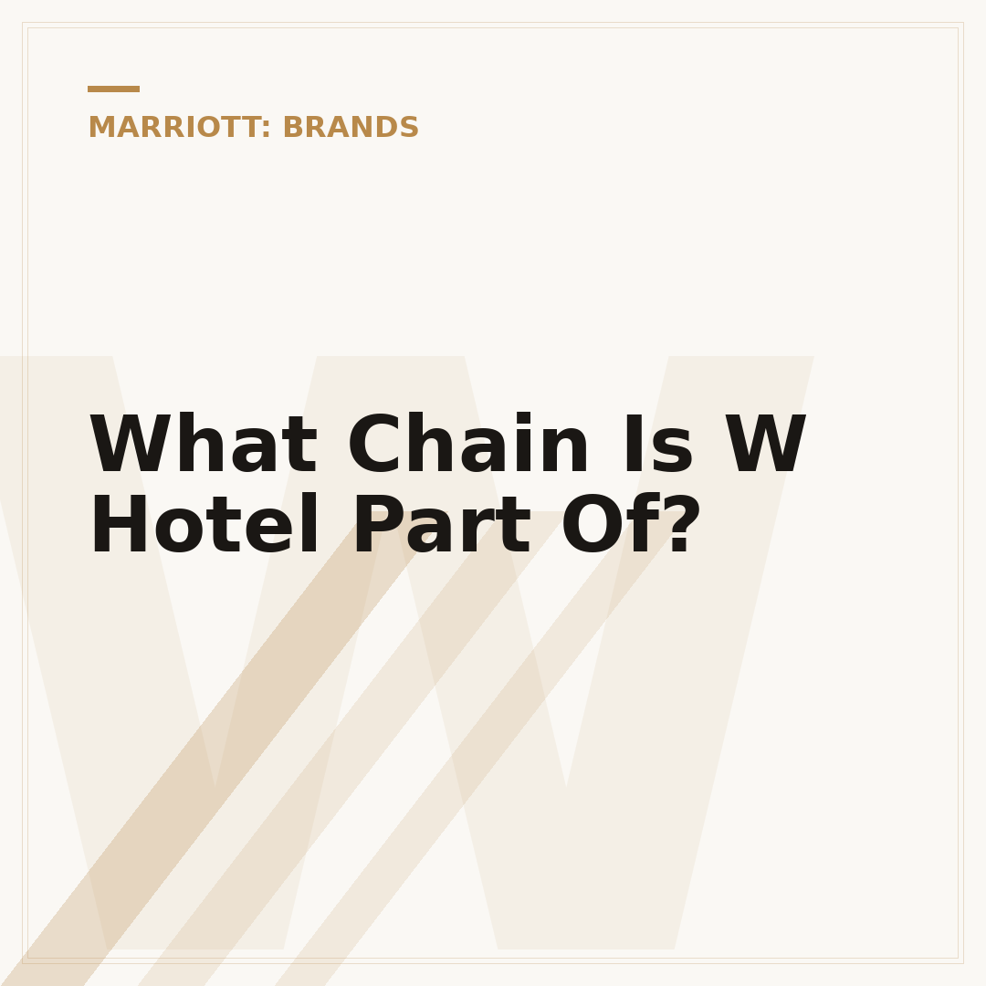 What Chain Is W Hotel Part Of?
