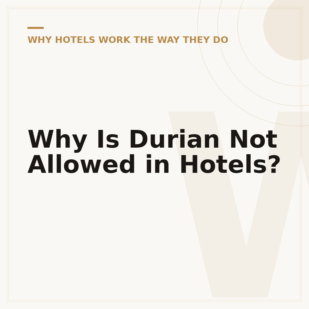 Why Is Durian Not Allowed in Hotels?